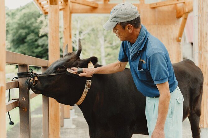 Farm Park Food Education Experience with Tajima Beef - Who Will Love This Tour?
