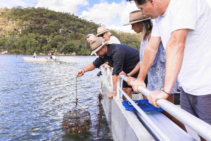 Farm to Plate - Sydney's Oyster Heartland - Farm to Plate - Sydneys Oyster Heartland: A Deep Dive into the Hawkesbury Rivers Bounty