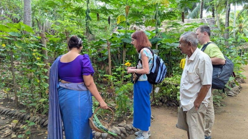 Farm to Table Cooking Class & Authentic Village Experience - Key Points