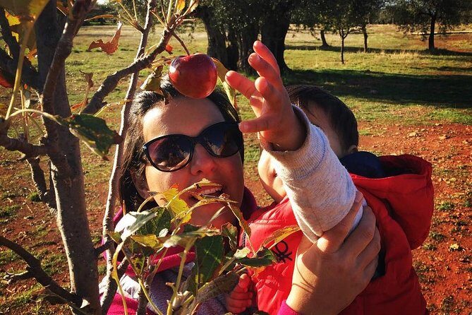 Farm-to-Table Cooking Class in an Organic Farm, Laconia, Greece! - In The Sum Up