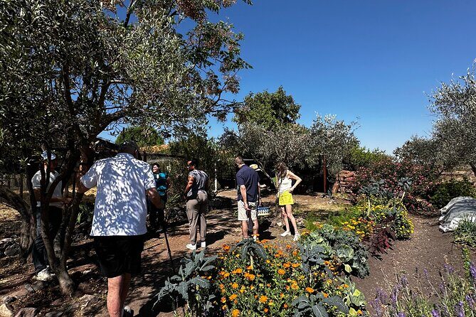 Farm to Table Cooking Experience in San Miguel - A Detailed Look at the Farm to Table Experience in San Miguel
