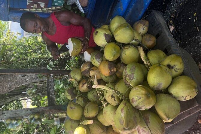 Farm To Table Dining Experience - An In-Depth Look at the Farm To Table Dining Tour