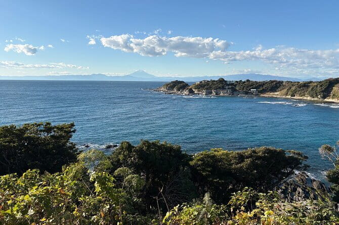 Farm to table Excursion and Barbecue with a Fresh Seafood - Discover the Beauty of Kanagawa with a Farm-to-Table and Seafood Barbecue Tour