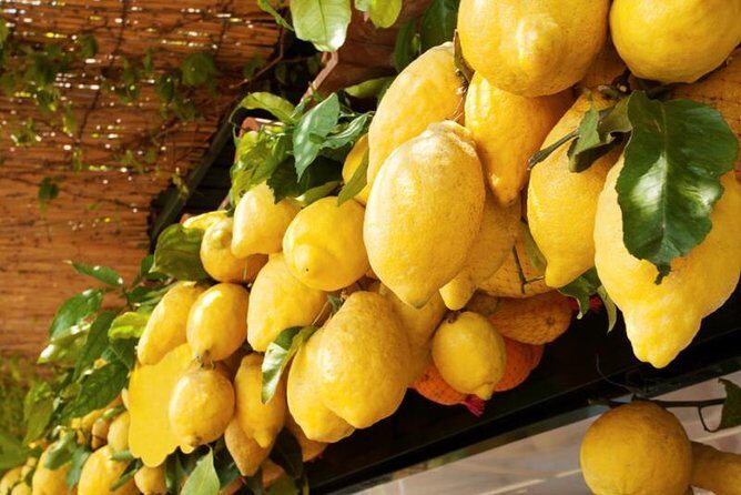 Farm-to-Table Experience: Olive Oil, Garden Tour & Nonnas Lunch - FAQ