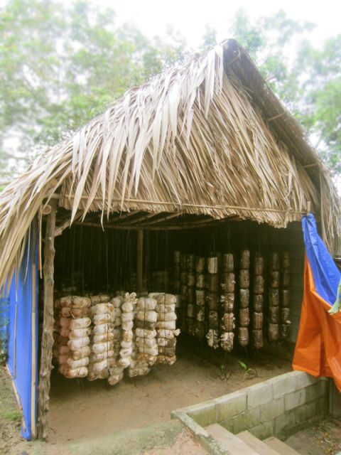 Farm-To-Table Healthy Cooking Class: Half-Day Tour - FAQs