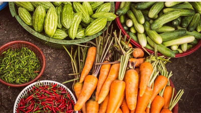 Farm to Table: With a local farmer family - Summary of the Experience