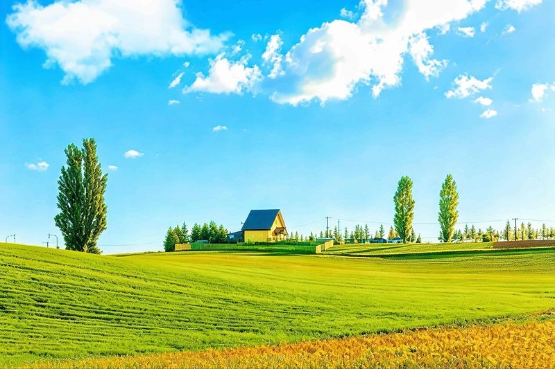 Farm Tomita, Shikisai no Oka, Aoiike: Sapporo Departure Furano Biei 1-Day Tour (Optional All-You-Can-Eat Cantaloupe) - Shikisai no Oka: the day’s big flower walk