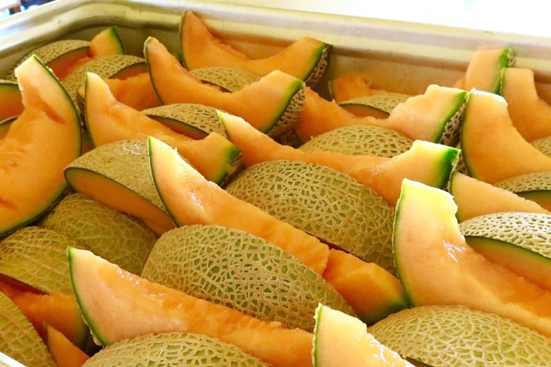 Farm Tomita, Shikisai no Oka, Aoiike: Sapporo Departure Furano Biei 1-Day Tour (Optional All-You-Can-Eat Cantaloupe) - Guides, group pace and what the service feels like