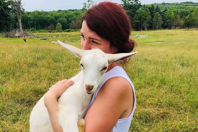 Farm Tour at Clover Brooke Llama/Alpaca/Goat Farm - Who Will Love This Tour?