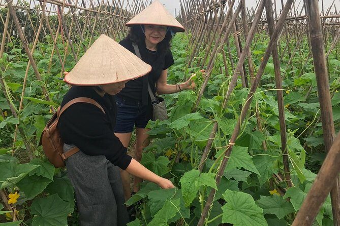 Farm tour & Home cooking class with local family in Hanoi - Key Points