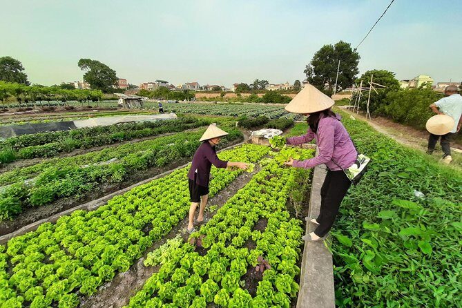 Farm tour & Home cooking class with local family in Hanoi - FAQ Section