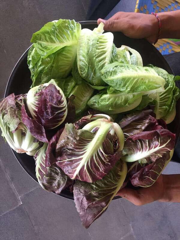 Farmer's Market + Street Food Walking Tour - Chef Curated - Who Should Take This Tour?