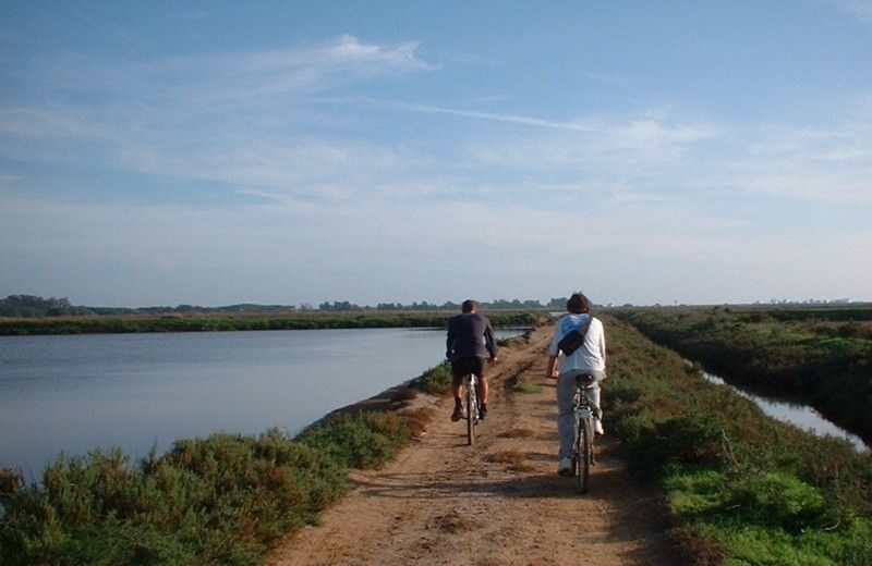 Faro Bike Tour through the Beautiful Ria Formosa - Faro Bike Tour through the Beautiful Ria Formosa