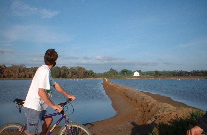 Faro Bike Tour through the Beautiful Ria Formosa - Who Will Love This Tour?