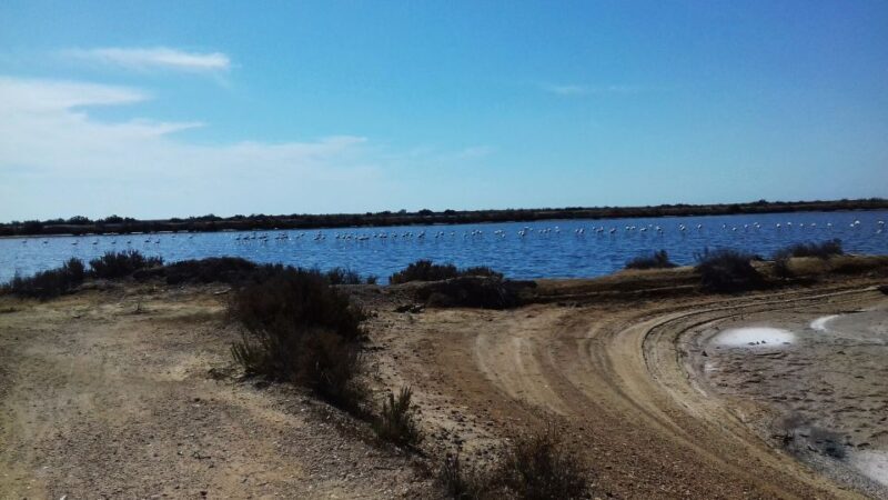 Faro Bike Tour through the Beautiful Ria Formosa - The Sum Up: Is This Tour Worth It?