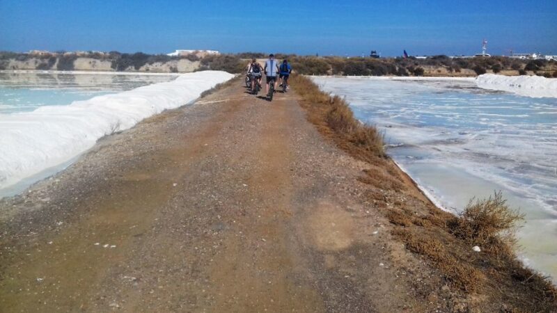 Faro Bike Tour through the Beautiful Ria Formosa - FAQ