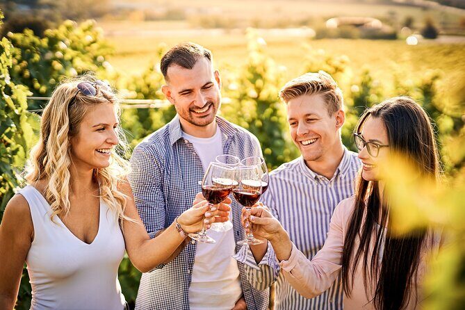 Faro City Portuguese Wine Tasting and Tapas Guided Tour - FAQ