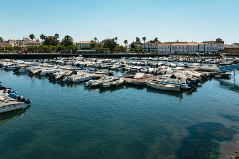 Faro: Deserta Island and Farol Island Catamaran Boat Trip - Who Should Consider This Tour?
