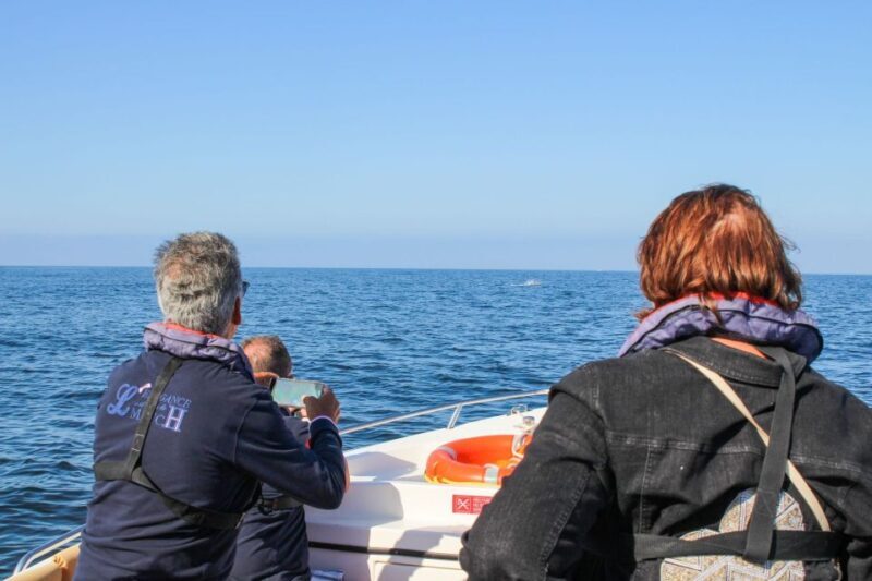 Faro: Dolphin and Marine Life Watching Boat Tour - FAQ