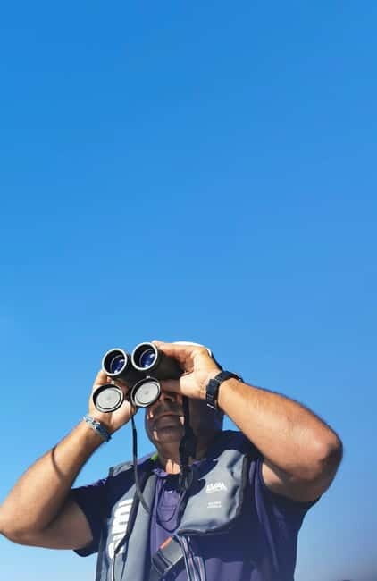 Faro: Funtastic Dolphin Watching Boat Tour - Pricing and Value