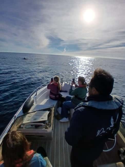 Faro: Funtastic Dolphin Watching Boat Tour - The Sum Up