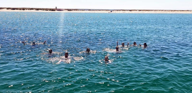 Faro: Half Day Private Tour in Ria Formosa Natural Park - The Sum Up: Is This Tour Right for You?