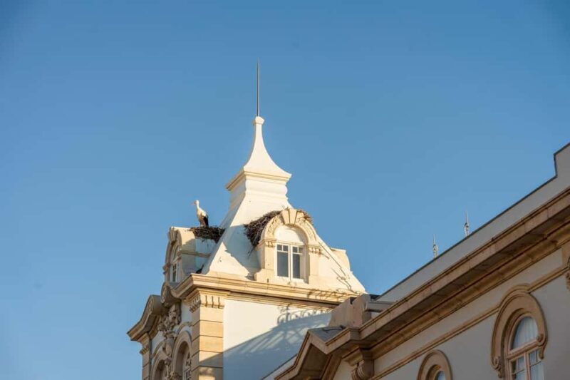Faro: Private 2-Hour Old & New City Walk with Market Visit - Who Should Consider This Tour?