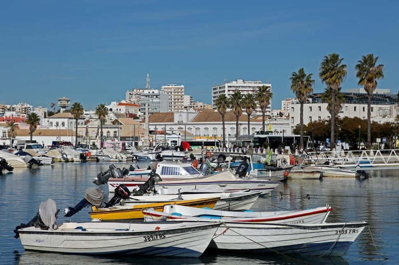 Faro: Private City 2 Hour Sightseeing Tour with Local - Final Thoughts