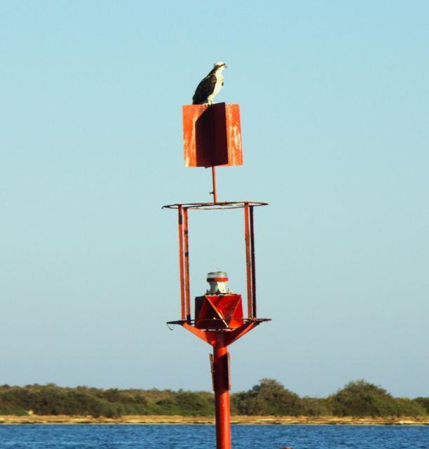 Faro: Pudim Real Boat Tours 6h guided boat tour Ria Formosa - Faro: Pudim Real Boat Tours 6h Guided Boat Tour Ria Formosa