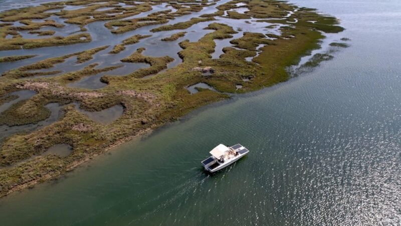 Faro: Ria Formosa Boat Tour by Eco-Friendly Solar Boat - Faro: Ria Formosa Boat Tour by Eco-Friendly Solar Boat — a detailed look