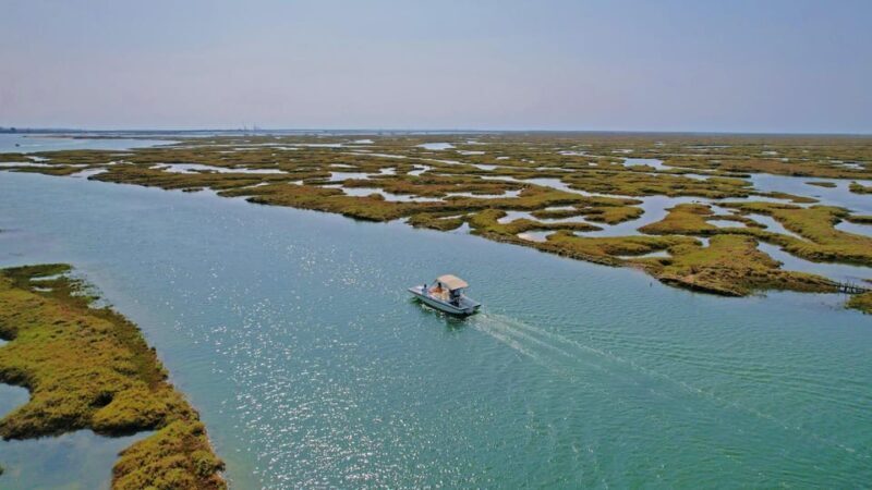 Faro: Ria Formosa Boat Tour by Eco-Friendly Solar Boat - Key Points