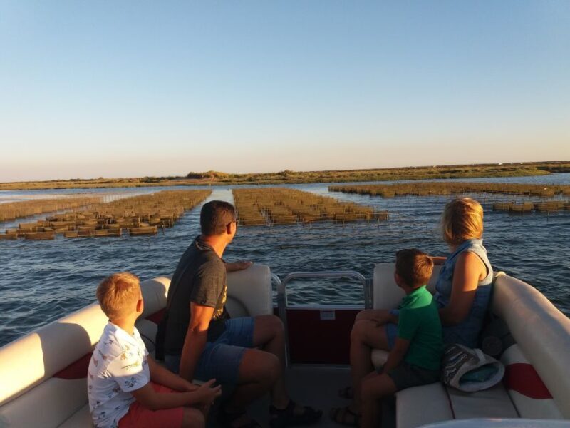 Faro: Ria Formosa Boat Tour - Faro: Ria Formosa Boat Tour — An Authentic Nature Escape in Portugal