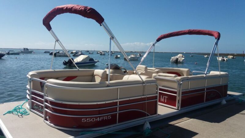 Faro: Ria Formosa Boat Tour - Who Will Love This Tour?