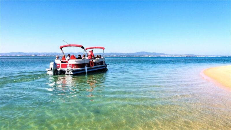 Faro: Ria Formosa Faro Islands Boat Tour - A Closer Look at the Faro Islands Boat Tour