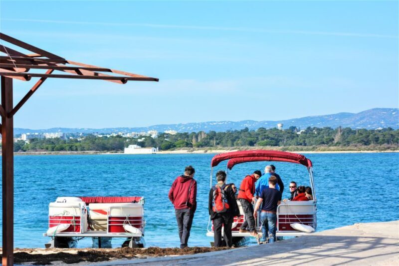 Faro: Ria Formosa Faro Islands Boat Tour - Who Will Love This Experience?