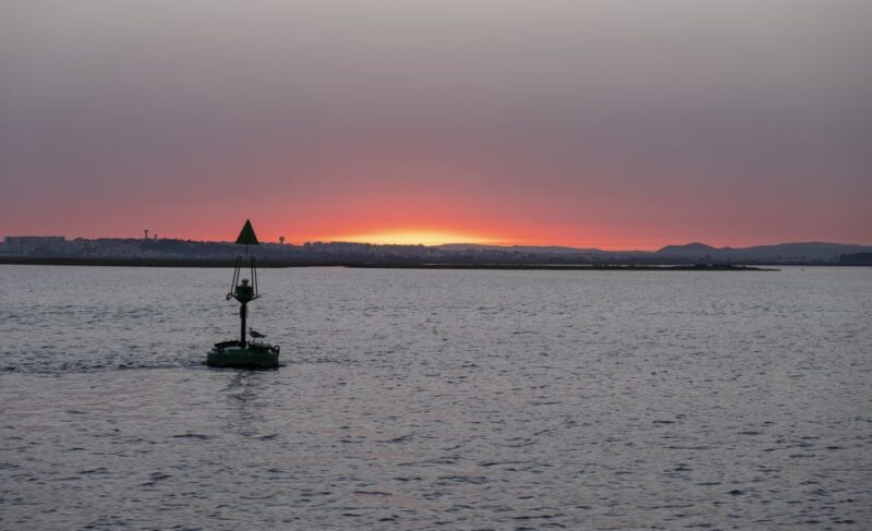 Faro: Ria Formosa Guided Sunset Tour by Catamaran - The Sum Up