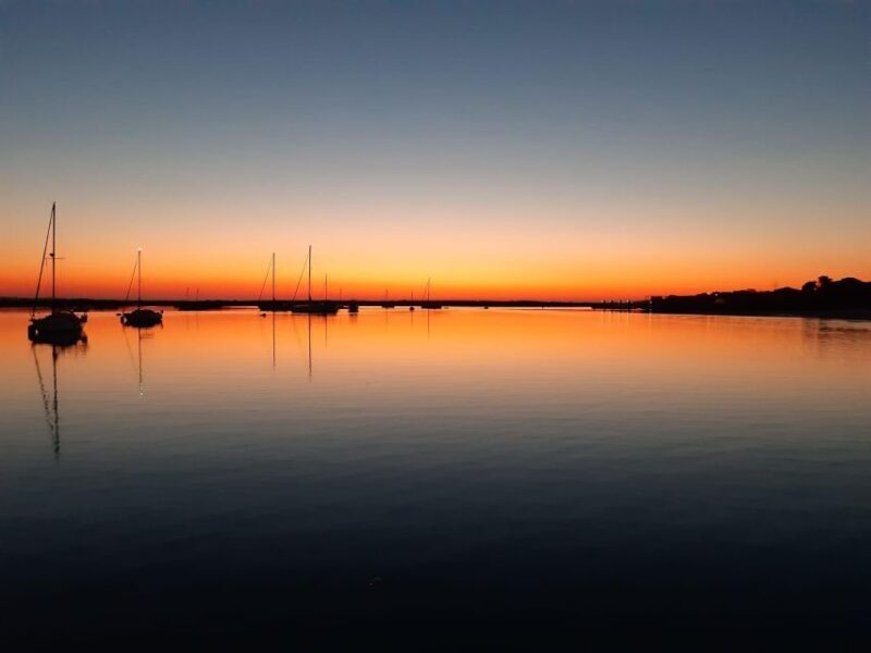 Faro: Ria Formosa Sunset Boat Tour - A Deep Dive into the Faro Ria Formosa Sunset Boat Tour