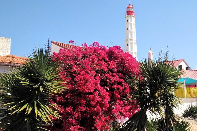 Faro - Ria Formosa tour with visit to 2 islands (Deserta, Farol) 3.5 hours - FAQ