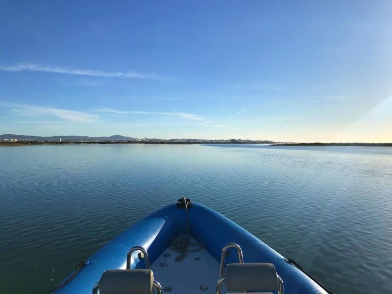 Faro: Speed Boat Tour - Faro: Speed Boat Tour — An Exciting Way to Discover the Algarves Coastline