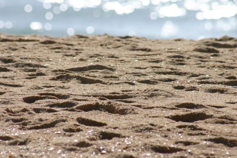 Faro: Speed Boat Tour - The Sum Up: Who Will Love This Experience?