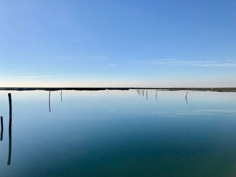 Faro: Speed Boat Tour - FAQ