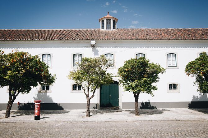 Faro Walking Tour: Uncover the Citys Architectural Legacy - Final Thoughts