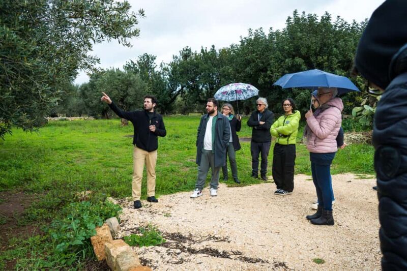 Fasano: Olive Oil Tour With Tasting and Food Pairing - Fasano: Olive Oil Tour With Tasting and Food Pairing — A Deep Dive into Italy’s Olive Heritage
