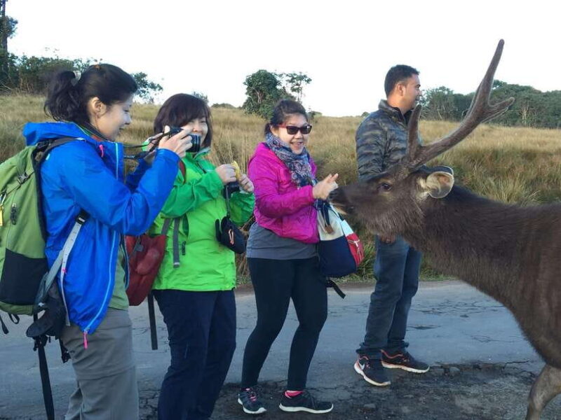 Fascinating Tours in Sri Lanka - The 7-Day Sri Lanka Experience: A Deep Dive