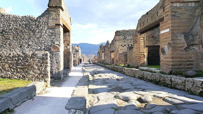 Fast Access Exclusive Private Ancient Pompeii Half Day Tour with Local Guide - Pricing and Value