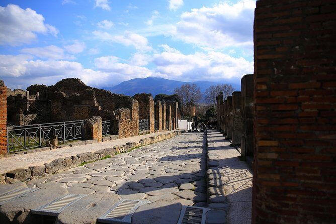 Fast Access Exclusive Private Ancient Pompeii Half Day Tour with Local Guide - The Sum Up