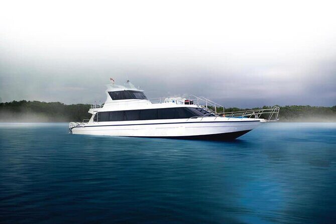 Fast Boat Transfer Sanur to Nusa Penida by Penidago - Who Should Consider This Fast Boat?