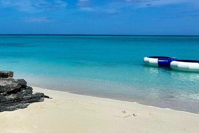 Fast Track Swimming Pigs Encounter - Final Thoughts