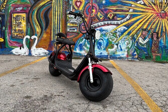 Fat Tire 2 Seater Rental in Houston - A Closer Look at the Houston Fat Tire 2 Seater Rental