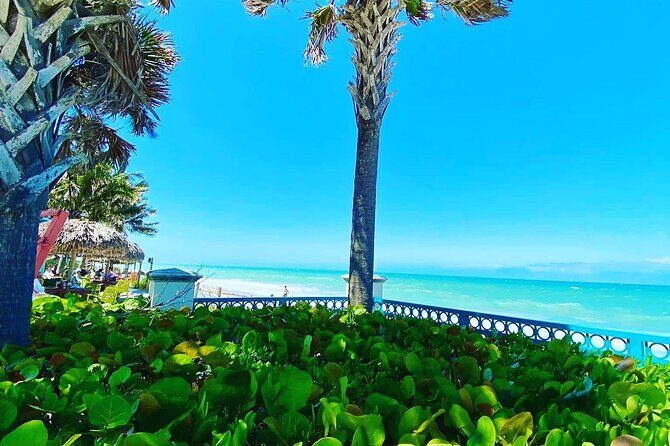 Fat Tire Electric Bike Tour in Vero Beach Florida - The Value of the Experience